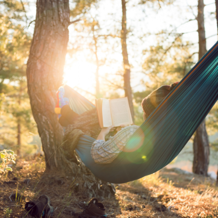 Lounging in a tree with a page-turner