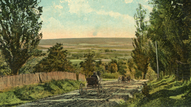 Carriage going down the hill through the valley in Collingwood Township