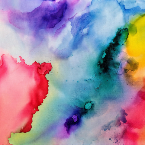 Science Meets Art Virtual Program