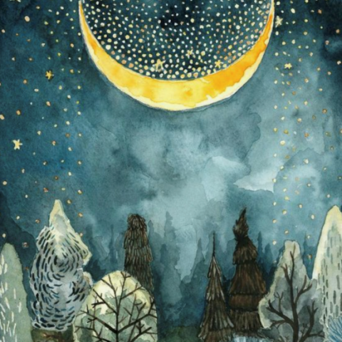 Learn to Paint