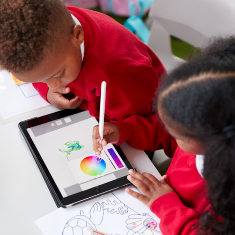 Film & Animation Workshops