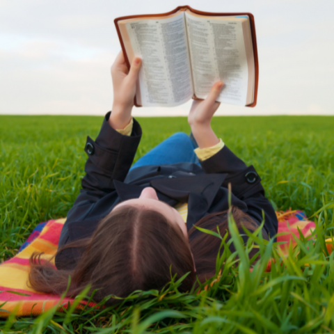 Tween Lit Kits: Program Full | The Blue Mountains Public Library