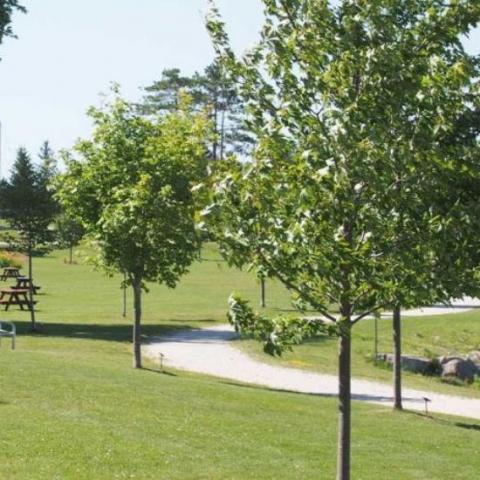 Bayview Park in Thornbury, Ontario