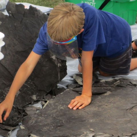 Child exploring exposed shale for fossils 