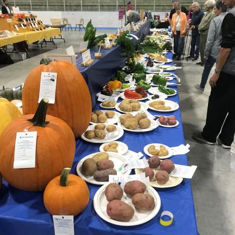 Beaver Valley Fall Fair Library Booth Saturday September 7 10am