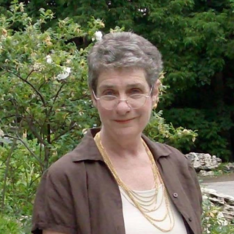 Author Talk with Sheila Balls November 22 2pm