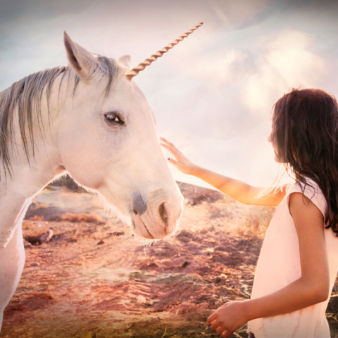 Girl reaching out to pet unicorn
