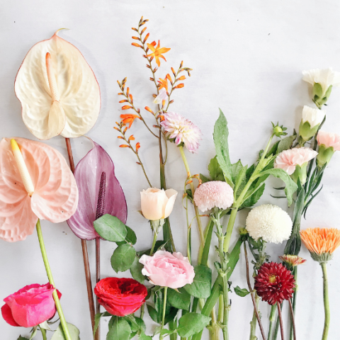 White background with various flowers and stems.