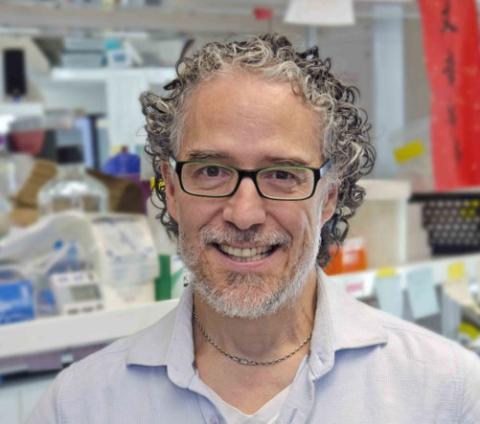 Christopher E Pearson PhD