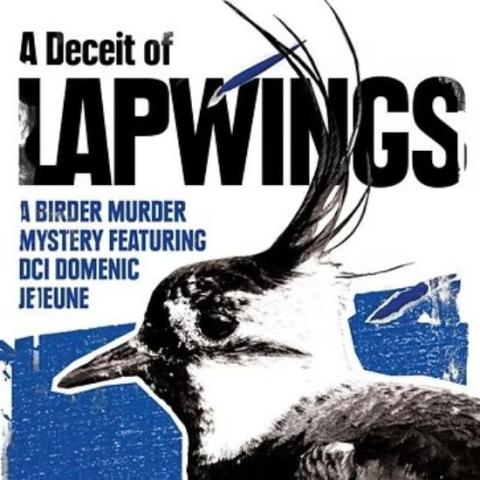a deceit of lapwings book cover