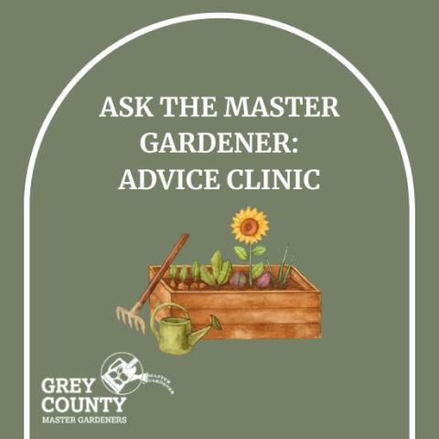 Bring your gardening questions and get expert guidance from seasoned master gardeners! This interactive session gives you the chance to receive personalized advice on everything from plant care and garden design to pest management and seasonal planning. Whether you’re troubleshooting a problem, planning your next project, or just curious about best practices, our experts are here to help you grow your confidence—and your garden. With a graphic of a raised bed with vegetables and flowers growing