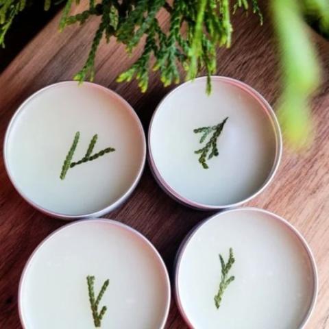 Photo of cedar salve in containers