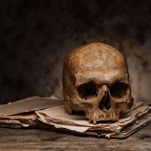 A scary skull sits on an old book