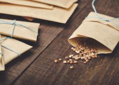An envelope with seeds pouring out of it